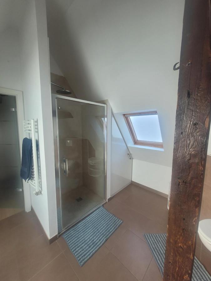 Studio 50M2 Au Bord De L'Eau A Strasburgo Esterno foto