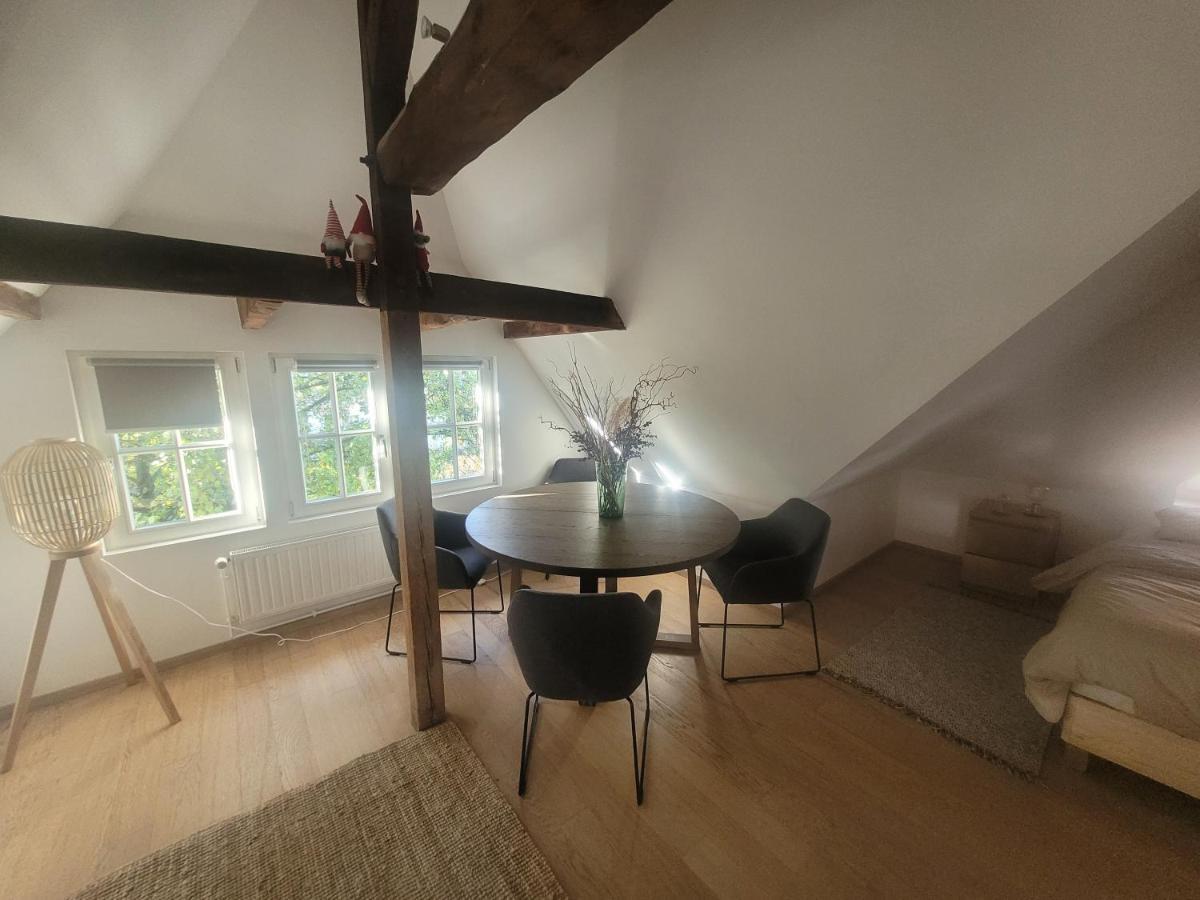 Studio 50M2 Au Bord De L'Eau A Strasburgo Esterno foto